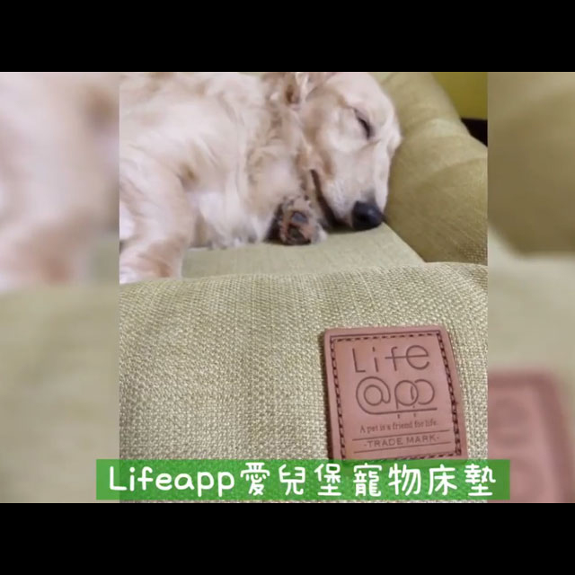 LIFEAPP愛兒堡-奶油臘腸林納豆