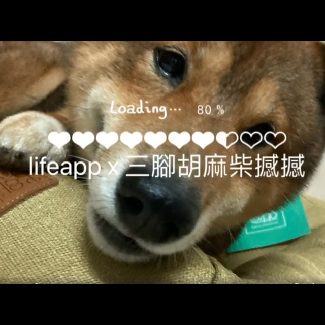 LIFEAPP愛兒堡-三腳胡麻柴撼撼