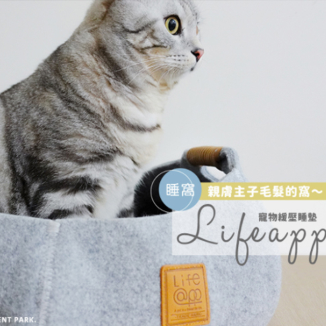 LIFEAPP貓籃子-波波 一隻白爛貓