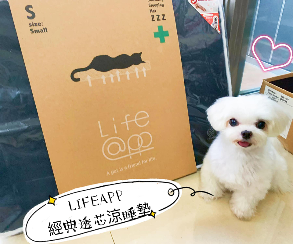 LIFEAPP經典透芯涼睡墊-馬爾濟斯小肉包搗蛋日記簿