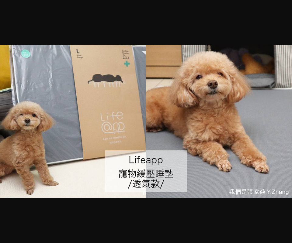 LIFEAPP透氣睡墊-您好！我們是張家猋