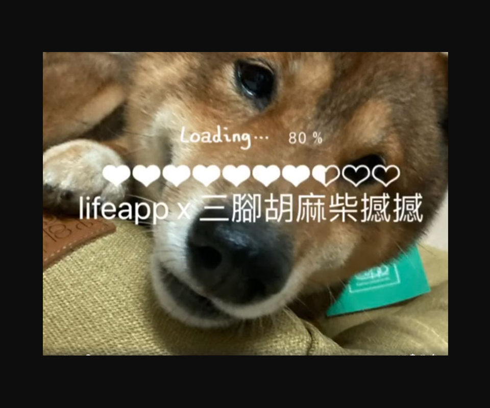 LIFEAPP愛兒堡-三腳胡麻柴撼撼